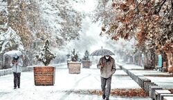 بارش شدید برف، باران و یخبندان در راه است | هشدار هواشناسی برای 13 استان 