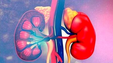 رنگ ادرارتان خبر از بیماریتان می دهد! | با دیدن این نشانه ها به وجود سرطان کلیه مشکوک شوید 