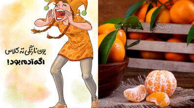 بو ها اگر آدم بودند، چه شکلی می‌شدن؟ + عکس های  باحال