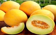  آشنایی با طالبی و خواص آن در طب سنتی + طبع و ارزش غذایی 