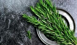  تسکین طبیعی دردهای مفصلی با استفاده از رزماری 