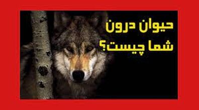 حیوان درون متولدین هر ماه چیه؟ | با حیوان درونتان آشنا شوید + فیلم