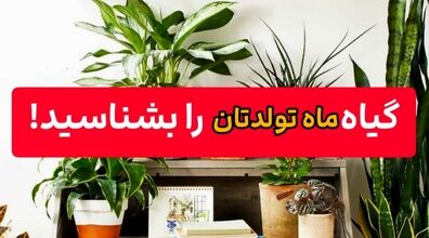 گل های مناسب با شخصیت افراد متولدین هر ماه | متولدین هر ماه از نظر اخلاقی اگه گل بودن!