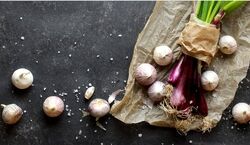  آشنایی با خواص بی نظیر موسیر در طب سنتی + طبع 