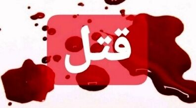 قتل مادر زن به خاطر سند خانه 
