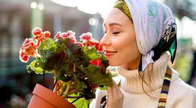 گیاهان آپارتمانی عطر دار که خونه رو خوشبو میکنن + مزایا