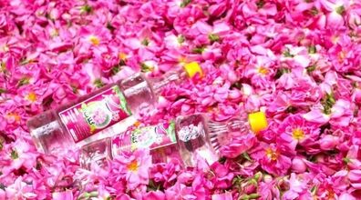 قبل خواب گلاب بخوریم چه فوایدی داری؟