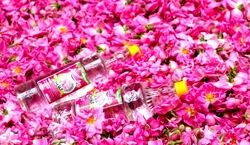 قبل خواب گلاب بخوریم چه فوایدی داری؟