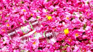 قبل خواب گلاب بخوریم چه فوایدی داری؟