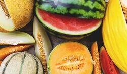 چگونه هندوانه، طالبی و خربزه رسیده و آبدار رو تشخیص بدم؟