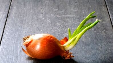 خوردن سیر و پیاز جوانه زده ضرر دارد؟ | چطوری جلوی جوانه زدن سیر و پیاز رو بگیریم؟ 