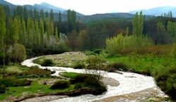 مردم این روستای ایران هیچوقت نمیرن داروخانه!! + عکس و دلیل