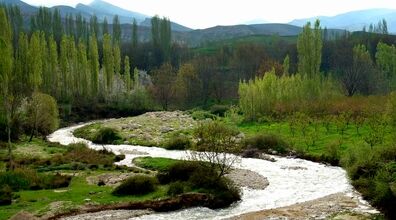 مردم این روستای ایران هیچوقت نمیرن داروخانه!! + عکس و دلیل