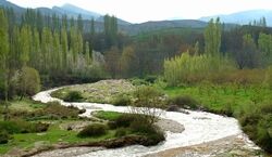 مردم این روستای ایران هیچوقت نمیرن داروخانه!! + عکس و دلیل