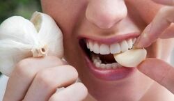 رفع بوی سیر از دهان با ۵ راهکار ساده | برای از بین بردن بوی سیر از دهان چه کنیم؟