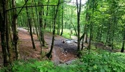 دره چاشت خوران؛ جاذبه تازه کشف شده گرگان + مسیر دسترسی 