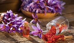 معرفی سوغات و صنایع دستی مشهد | سوغات و صنایع دستی مشهد چیست ؟