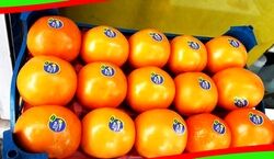 برچسب روی میوه ها چه معنی میده؟ + عکس و توضیحات