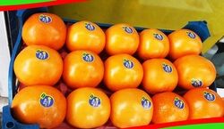 برچسب روی میوه ها چه معنی میده؟ + عکس و توضیحات