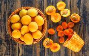  همه چیز در مورد زردآلو و خواص آن در طب سنتی + طبع و ارزش غذایی 