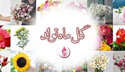متولدین هر ماه اگه گل بودن، کدوم گل بودن؟ + عکس