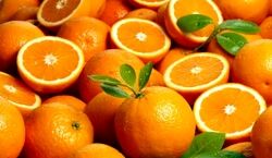 چرا قبل از خواب پرتقال بخوریم؟؟ + خواص 
