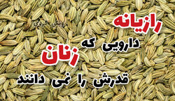 دارویی که زنان قدرش را نمی دانند | خواص فوق العاده رازیانه برای زنان