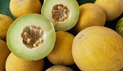  خواص خربزه در طب سنتی برای سلامتی + طبع و ارزش غذایی 