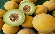 مربای خربزه خانگی خوشمزه و خوش عطر رو با این 2 روش درست کن!