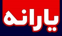 یارانه تغذیه به کدام خانوارها تعلق می‌ گیرد؟ + جزئیات