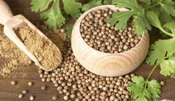 پودر گشنیز رو تو چه غذاهایی می ریزن؟ | روش تهیه پودر گشنیز در خانه + نکات