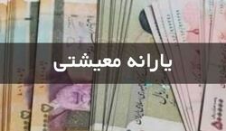 یارانه معیشتی مرغ و تخم مرغ در راه است | یارانه مرغ و تخم مرغ برای هر ایرانی چقدر؟؟ 