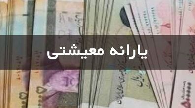 یارانه معیشتی مرغ و تخم مرغ در راه است | یارانه مرغ و تخم مرغ برای هر ایرانی چقدر؟؟ 