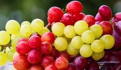 اگه بعد از خوردن انگور، بلافاصله آب بخوریم چه اتفاقی برامون میفته؟؟