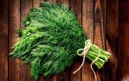  پاکسازی فوری کبد چرب با مصرف سبزی شوید + خواص 