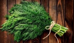  پاکسازی فوری کبد چرب با مصرف سبزی شوید + خواص 