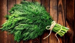  پاکسازی فوری کبد چرب با مصرف سبزی شوید + خواص 