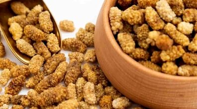 دیگه قند نخور به جاش توت خشک بخور! | فواید بینظیر توت خشک برای سلامتی 