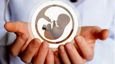 درآمد میلیونی با اهدای تخمک صحت دارد؟! | خطر اهدای تخمک برای سلامت زنان