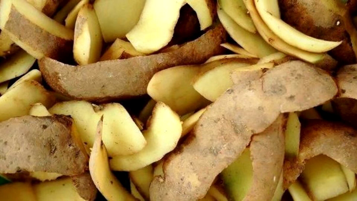 پوست سیب زمینی