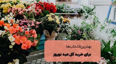 تو سفره هفت سین چه گلی بزاریم؟ | 7 گل جذاب و دوست داشتنی برای عید نوروز