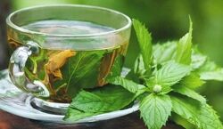گزنه کم خونی شما رو تا 7 نسل تون از بین می بره