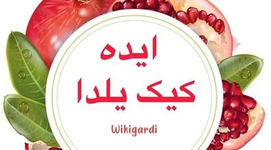 14 تا از جذاب ترین مدل های کیک یلدایی ترند 1402 + عکس