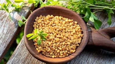  کنترل دیابت ۲ و ۱ با مصرف دمنوش شنبلیله 
