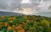 جاهای دیدنی مازندران که در شهریور ماه رنگ عوض می‌ کنند!