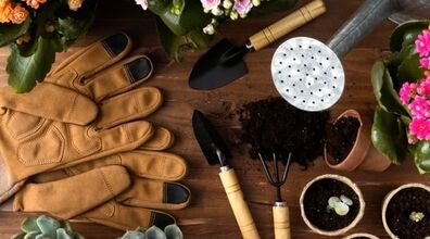 کی و چطور گلدان گیاهان را عوض کنیم؟ | روش و مراحل تعویض خاک و گلدان گیاه