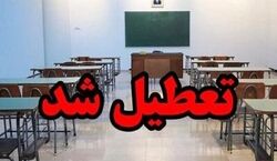 اطلاعیه تعطیلی مدارس یکشنبه 30 دی ماه 1403!