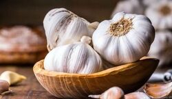  6 دسته از افرادی که هرگز نباید سیر بخورن | سیر خوردن برای چه کسانی سم است؟ 