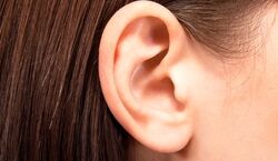این قسمت از گوشت رو ماساژ بده و از درد راحت شو + عکس