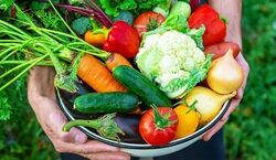 (ویدیو) با این ترفند ها سبزیجات رو همیشه تازه نگه دار